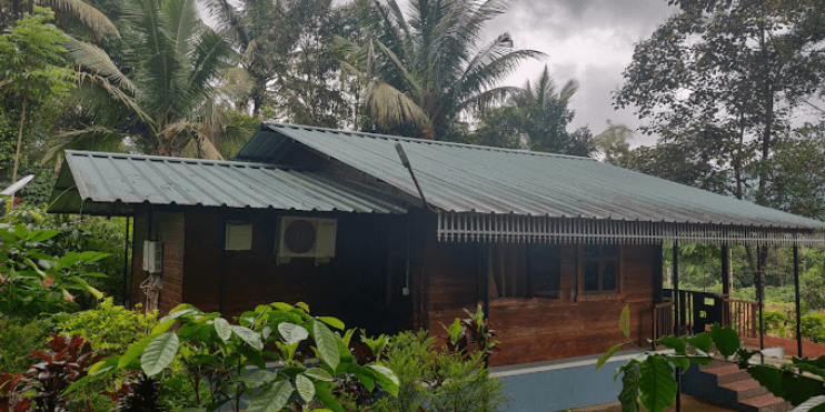 A quaint wooden house with a metal roof nestled in a vibrant green forest, showcasing a picturesque natural setting.