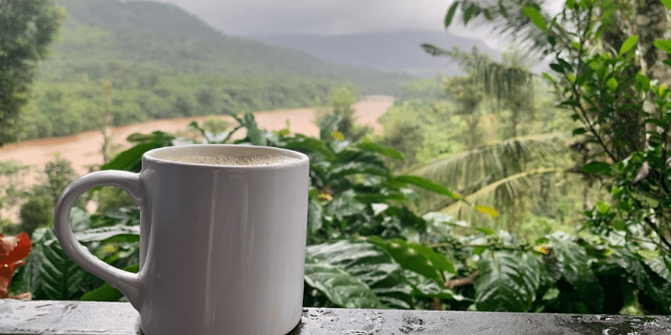 A coffee cup rests on a table, providing a serene view of a river, surrounded by lush greenery and tranquility.