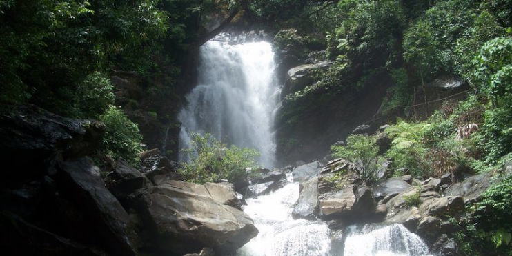 A serene view of Hanumana Gundi Falls, cascading through lush jungle, surrounded by rocks and vibrant trees.