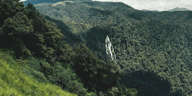 A serene waterfall cascades amidst lush greenery in a vibrant forest setting, inviting nature enthusiasts to explore.