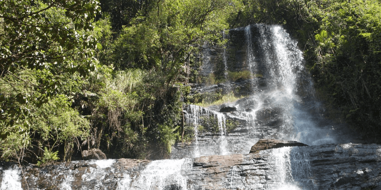 A serene view of Jhari Waterfalls cascading through a lush green forest, surrounded by vibrant foliage.