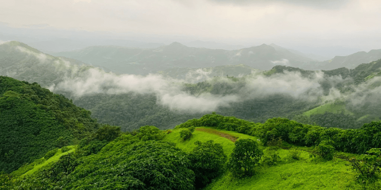 Scenic view of green hills and trees with clouds above at Kavikal Gandi Viewpoint, highlighting the tranquility of nature.