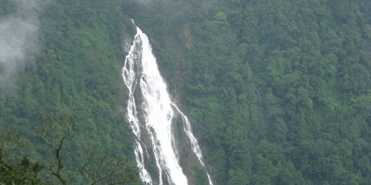 A serene waterfall cascades through a lush forest, showcasing nature's beauty and tranquility in a vibrant green setting.