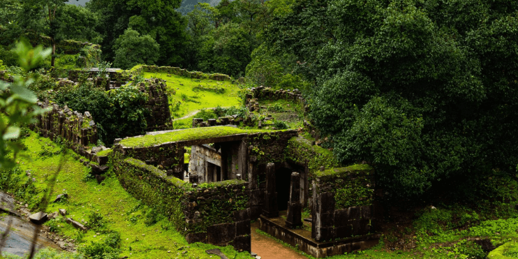 Ancient ruins enveloped by lush jungle, with trees and grass creating a serene, historical atmosphere.