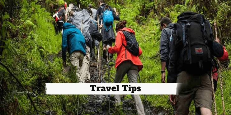 Travel tips for trekking in India, including essential advice for planning your trip effectively and safely.