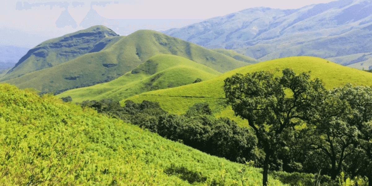 A green hill with trees and grass, representing a refreshing summer escape in Charmadi Ghat with stunning sunrise views.