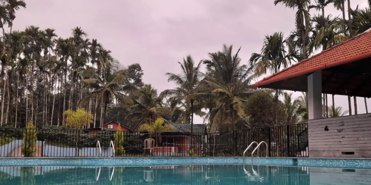 A serene swimming pool surrounded by lush palm trees at Bynekaadu, an eco-conscious resort in Chikmagalur.