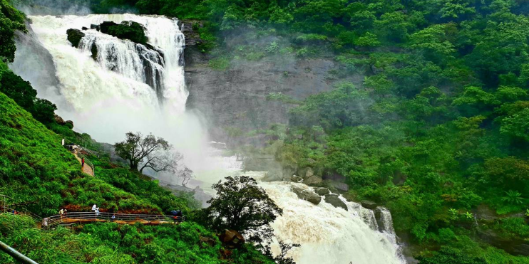 A large waterfall cascades down surrounded by lush green trees in Chikmagalur, a scenic hill station near Bangalore.