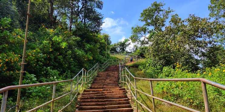 Stairs ascend a lush hillside in Sakleshpur, showcasing the region's scenic beauty and rolling green landscapes.