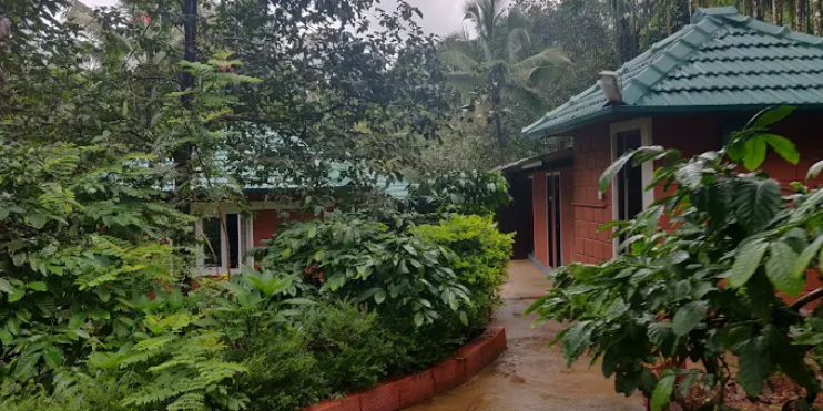 A small house nestled among trees and bushes, reflecting tranquility and a connection to nature at Bynekaadu resort.