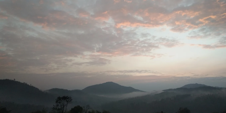 Why Nature Lovers Will Love It