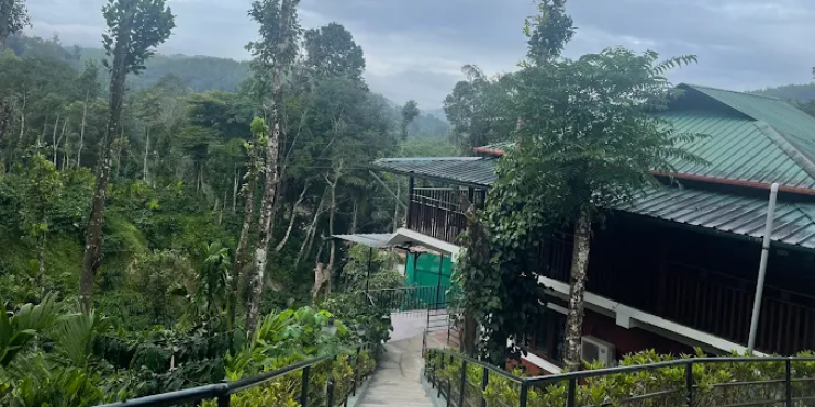 How to Reach the Baamikonda Trailhead from Bynekaadu 
