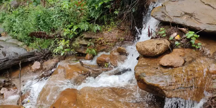 Waterfalls and Streams Along the Way 