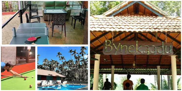 Life Inside and Outside the Cottage — What to Do on a Winter Morning