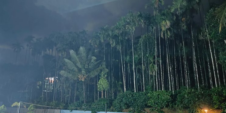 Understanding Budget-Friendly Resorts in Chikmagalur