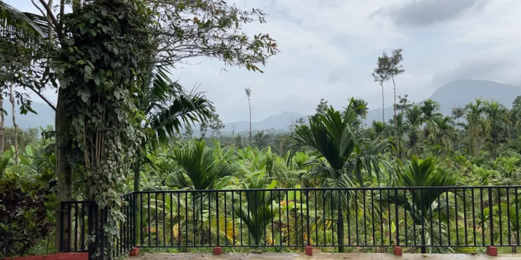 Winter Weather Report_ What to Expect