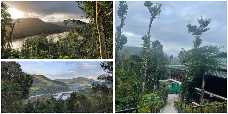 ➟ Afternoon_ Riverside Relaxation & Water Activities