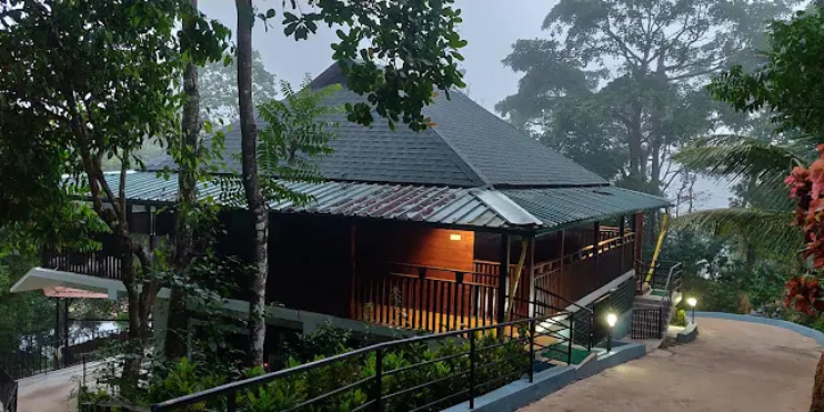 ➟ Morning_ Waking Up in Wooden Cottages Surrounded by Mist