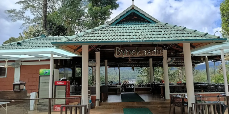 Why Winter Is the Best Time to Visit ByneKaadu