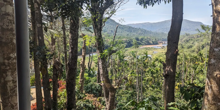 Additional Benefits That Enhance the Peaceful Experience 