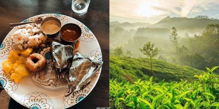 Malnad Lunch + Coffee Plantation Walks at Bynekaadu