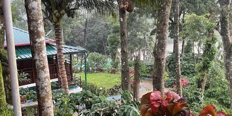 Solving the Room Placement Problem: Secluded Architecture in Coffee Plantations 