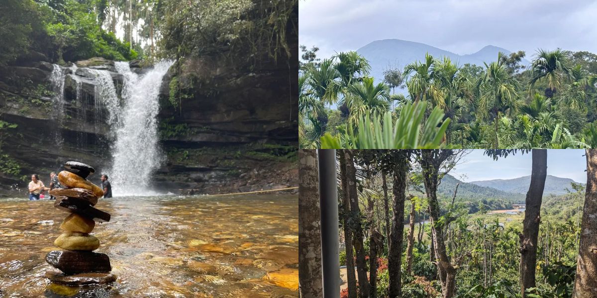 Best Bird Watching Trails in Mudigere