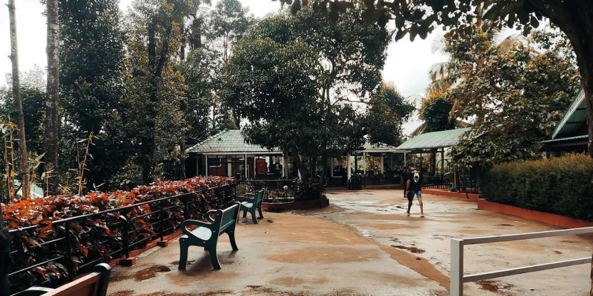 Birdwatching in Mudigere: A Beginner’s Guide