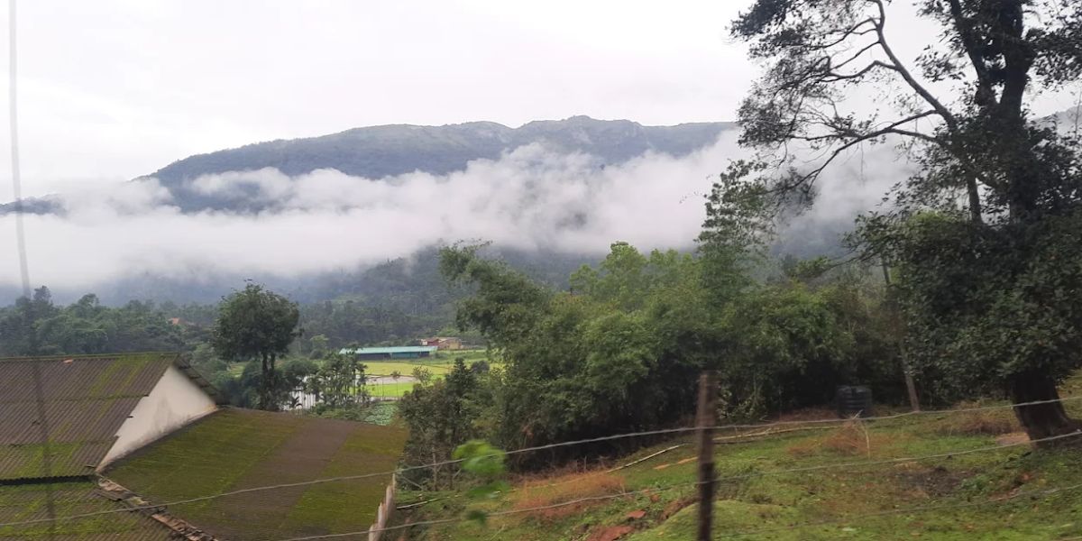 What is the Best Time to Go Birdwatching in Mudigere?