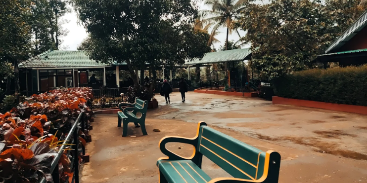 Best Time to Visit Samse Tea Estate Near Kalasa