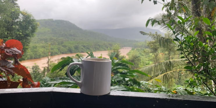 Discover Tea Gardens and Stunning Views